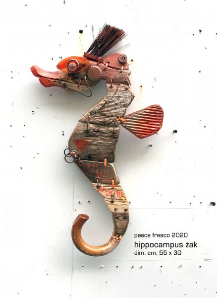 hippocampus zak