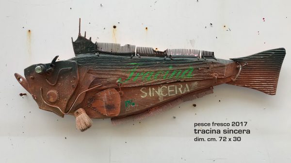 tracina sincera