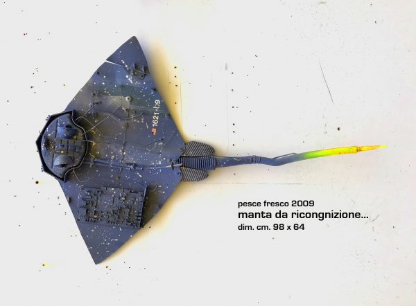 manta da ricognizione…