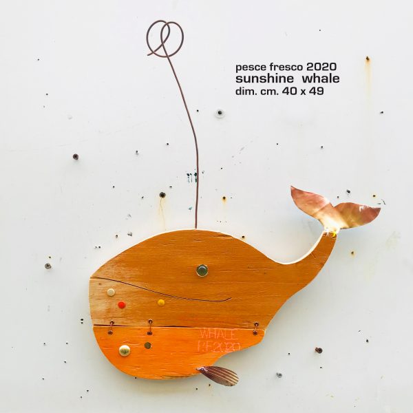 sunshine whale