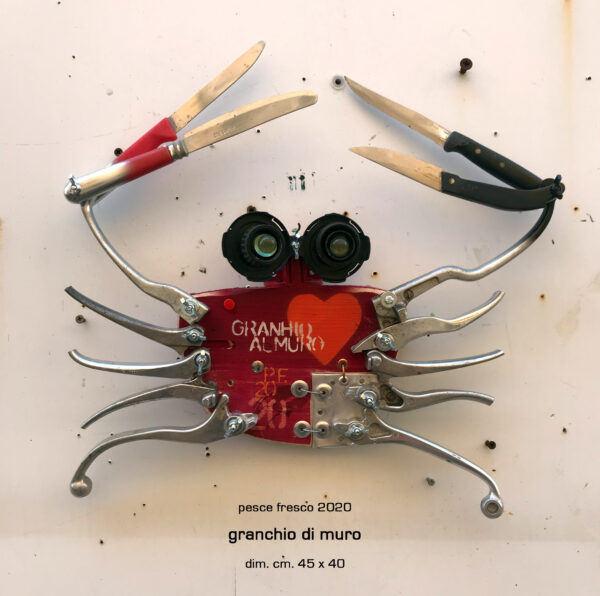 granchio da muro
