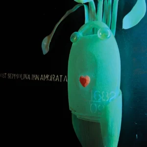 Un primo piano frontale della testa retroilluminata della seppia stilizzata. Il corpo in plastica traslucida brilla di verde-azzurro al neon. Sono chiaramente visibili i due occhi sferici in vetro, un piccolo cuore rosso al centro e i numeri bianchi scritti a mano sotto di esso. I tentacoli si estendono verso l'alto e i lati. A sinistra, si legge parzialmente la scritta bianca: "GHOST SEPPIOLINA INNAMORATA"